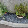 Gardenline Blue Slate Stone Chippings 5kg Bags X15 Image 5