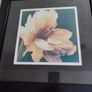 Lovely framed print still life of blooming flower. Image 6