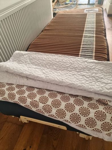 Amethyst Far Infrared Biomat w/Pillow - Professional Health Practitioners