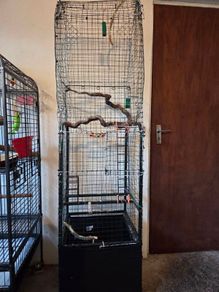 Bird Cage