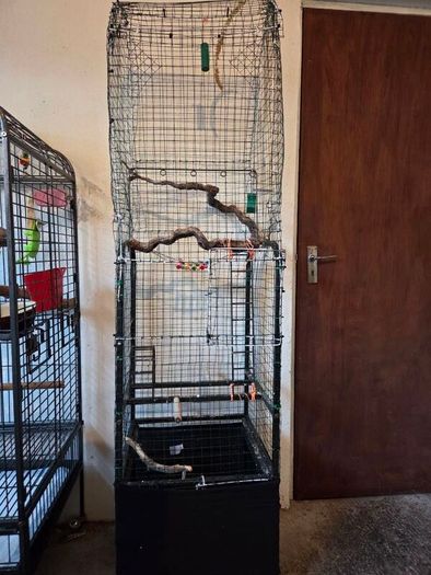 Bird Cage