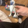 pokemon Image 7