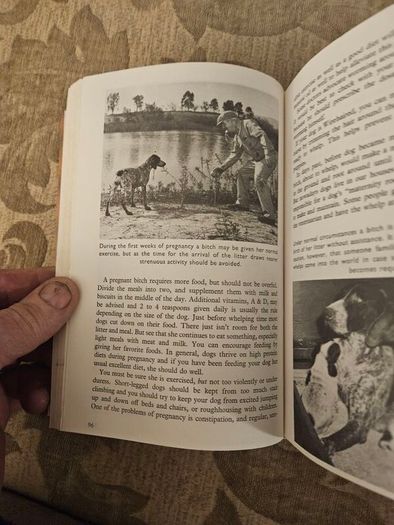 This Is The German Pointer. Shorthaired& Wirehaired. By Louise Zeigler Spirer & Herbert F.spirer. First Edition Hardback In Good Condition.  See Photos For Same.
