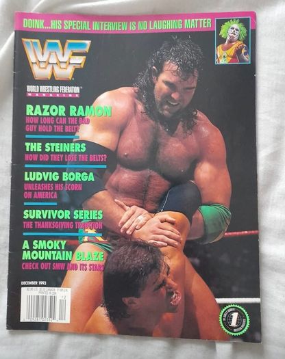 Wwf Magazines 1993