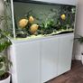 Aquael Opti Glass Aquarium  300L with Cabinet Fluval Filter & Plant Light Image 3