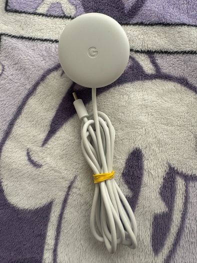 Google Nest Hub (1 And 2nd) Generation