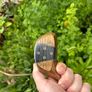 Vintage Ben Sayers Wooden Golf Clubs Set - Driver, 3, 4 & 5 Wood - Made in Scotland Image 3