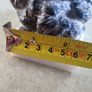 Vintage WOLF DESIGNS Bear with Cub Carving, Canada Figurine on marble plinth. Image 5