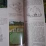 The Organic Handbook 2 / Pests / How to Control them on fruit & vegetables / 2000 Image 7