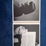 Sleater-Kinney cd Image 2