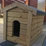 dog kennel Image 2