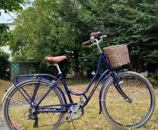 Raleigh Willow Women's Dutch Bike