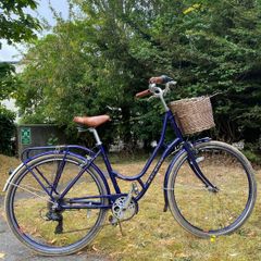 Raleigh Willow Women's Dutch Bike