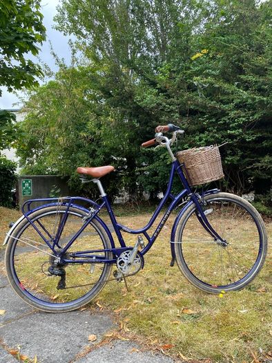 Raleigh Willow Women's Dutch Bike