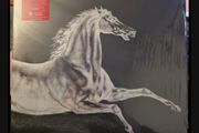 The Mekons Horror lp