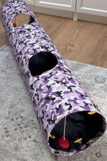 cat tunnel