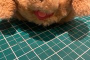 Little Live Pets