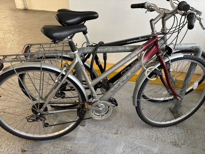 ladies bicycle