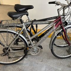 ladies bicycle