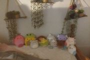 squishmallows