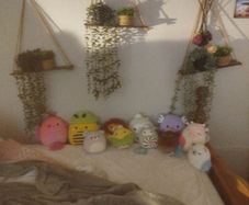 squishmallows