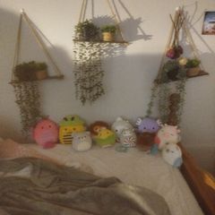 squishmallows
