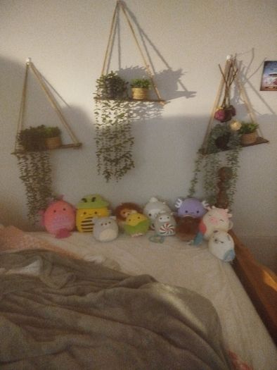 squishmallows