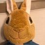 Peter rabbit and cotton tail tedddies Image 3