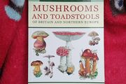 Mushrooms and Toadstools