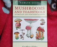 Mushrooms and Toadstools