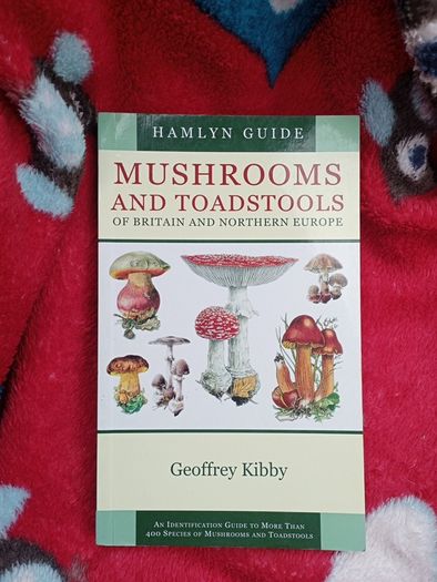 Mushrooms and Toadstools