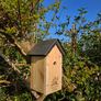 Personally Engraved Bird Boxes Image 6