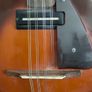 eko electric mandolin Image 5
