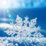 sunnysnowflakes