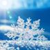 sunnysnowflakes