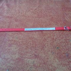 Red Pet Collar with Diamante Stones for Sale