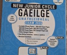Junior Cert Ordinary Level Irish Exam Papers 2026