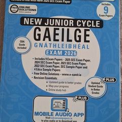 Junior Cert Ordinary Level Irish Exam Papers 2026