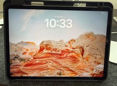 iPad Pro (11-inch)