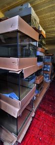 Classic Aquariums