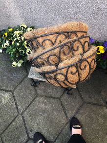 Hanging Baskets Each
