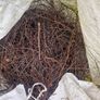 Firewood Image 2