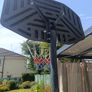 Basketball hoop and ball Image 3