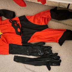 Incredibles family costumes
