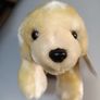 10 Inch Puppy New Soft Toy Teddy Bear Plush Image 3