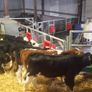 Power Automatic Calf Feeder PLS Image 4