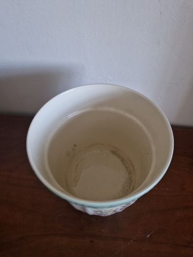 indoor flower pot