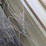 Dream Theater promo drum head 2020 - Autographed Image 6