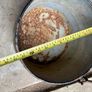 cast iron pot Image 2