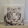 Canvas picture 80cmx80cm Image 2